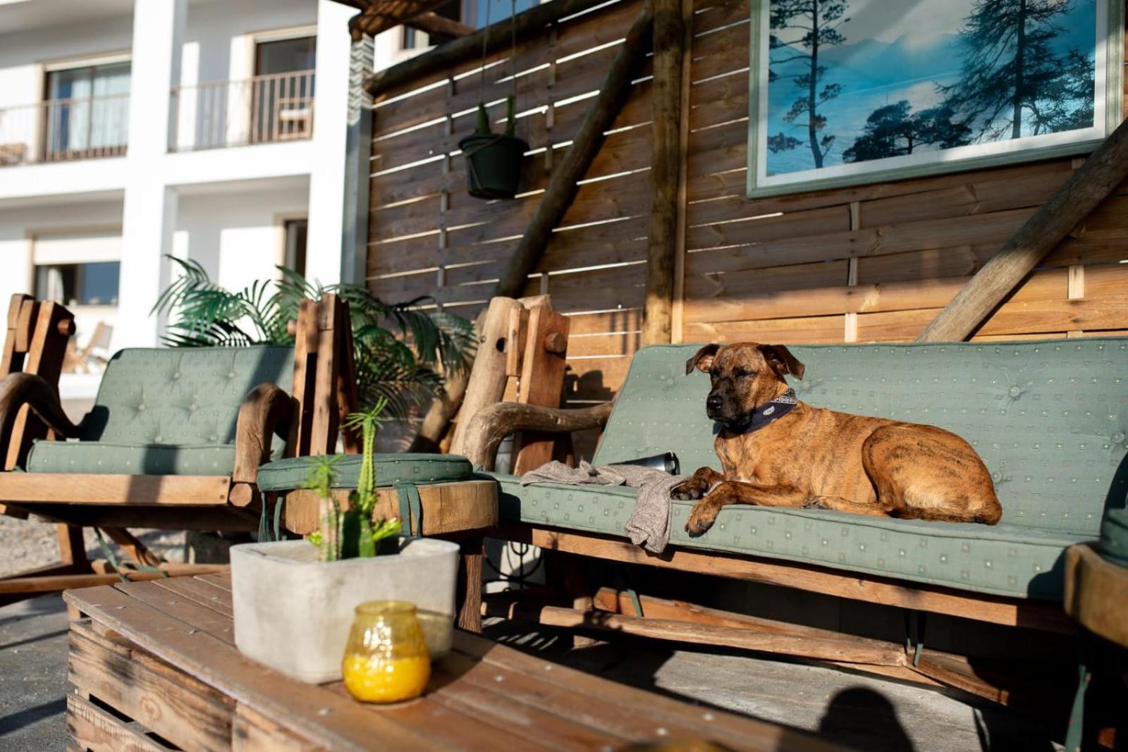 Villa Intuitiva - Relaxation And Mindful Stay Lourinhã Exterior foto